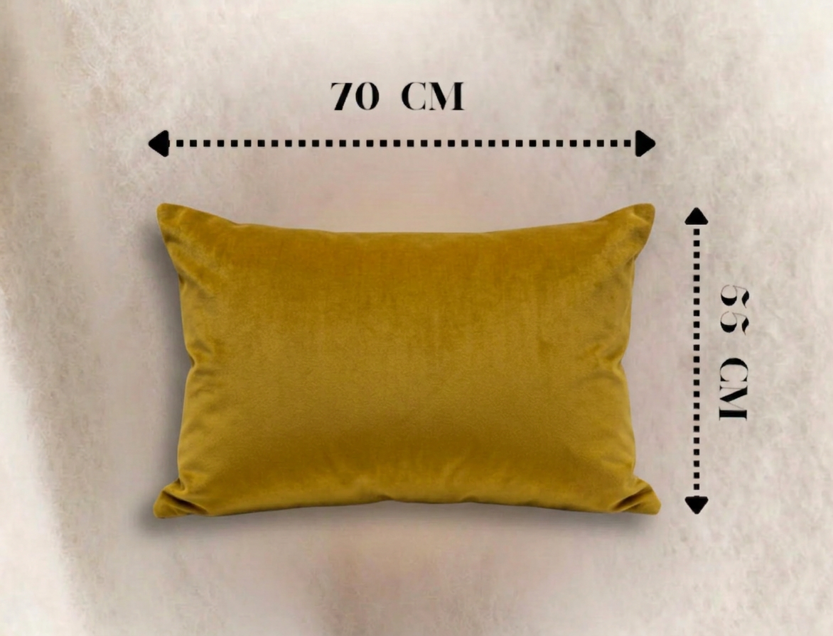 Housse de coussins 70cm