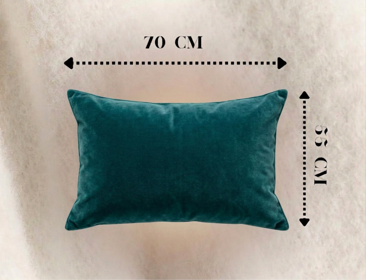 Housse de coussins 70cm