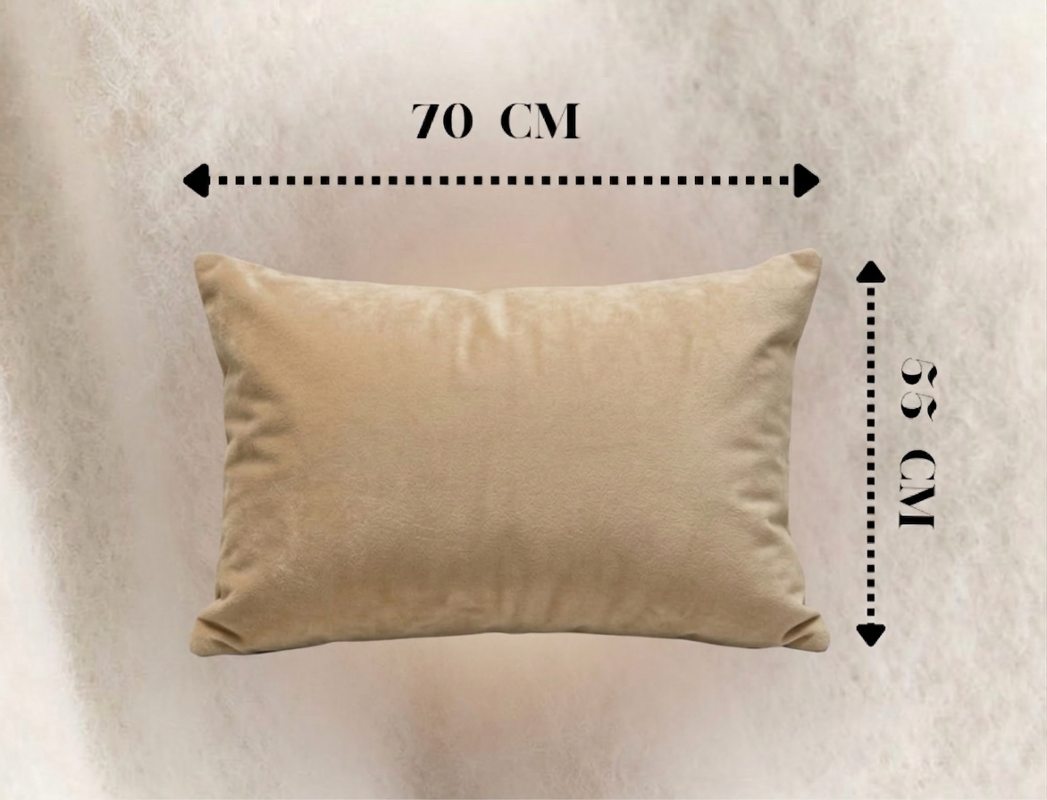 Housse de coussins 70cm