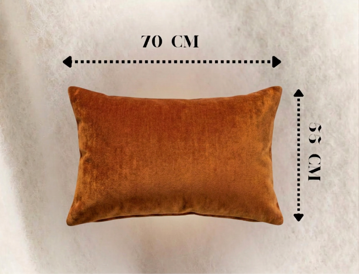 Housse de coussins 70cm